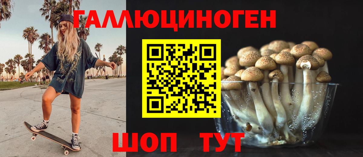 Псилоцибиновые грибы мухоморы Чебоксары
