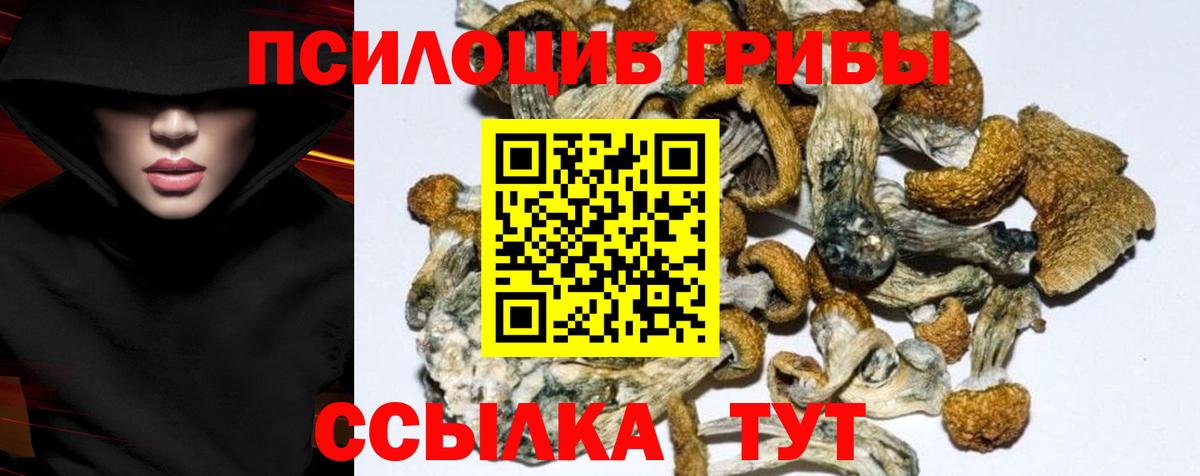 Чебоксары  Псилоцибиновые грибы Magic Shrooms  Псилоцибиновые грибы Magic Shrooms  Вход с VPN 